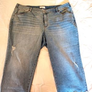 Lane Brayant Ankle with lace trim